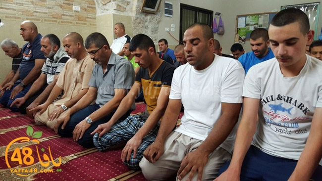 7ozaifa yaman (6).jpg